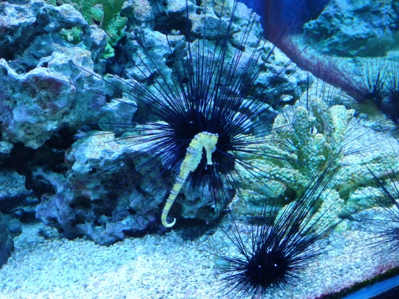 На курсах в Израиле в середине осени (Тель-Авив - Яффо, Герцлия, Иерусалим)