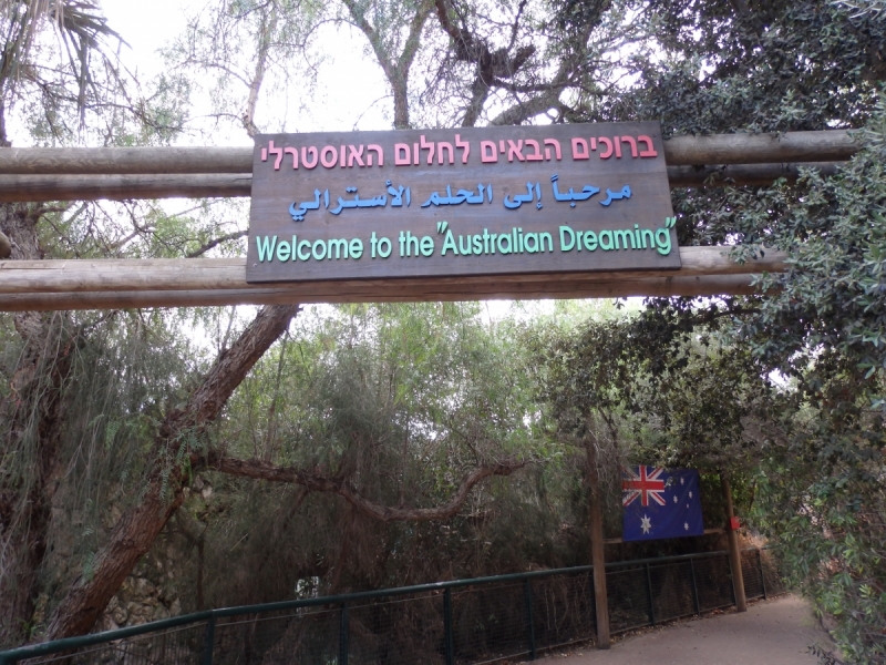 На курсах в Израиле в середине осени (Тель-Авив - Яффо, Герцлия, Иерусалим)