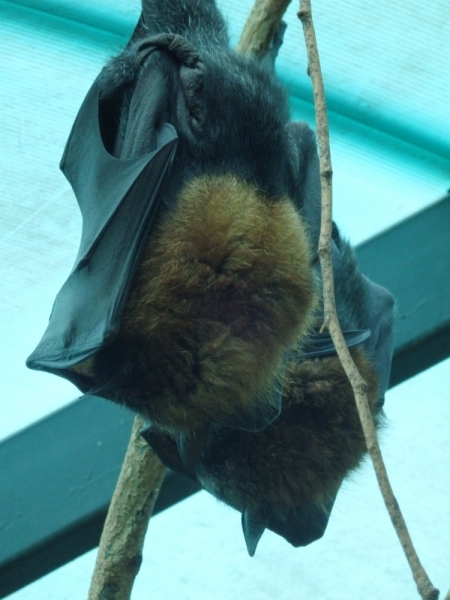 На курсах в Израиле в середине осени (Тель-Авив - Яффо, Герцлия, Иерусалим)