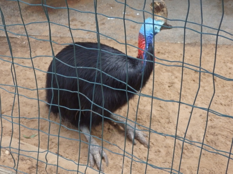 На курсах в Израиле в середине осени (Тель-Авив - Яффо, Герцлия, Иерусалим)