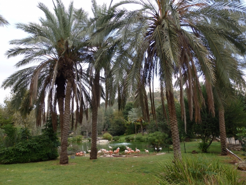 На курсах в Израиле в середине осени (Тель-Авив - Яффо, Герцлия, Иерусалим)