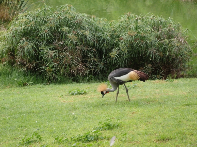 На курсах в Израиле в середине осени (Тель-Авив - Яффо, Герцлия, Иерусалим)