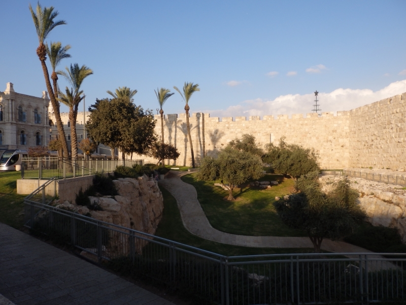 На курсах в Израиле в середине осени (Тель-Авив - Яффо, Герцлия, Иерусалим)