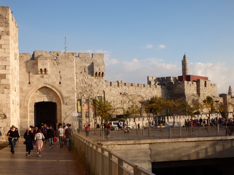 На курсах в Израиле в середине осени (Тель-Авив - Яффо, Герцлия, Иерусалим)