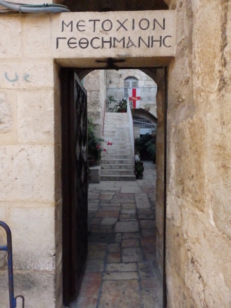 На курсах в Израиле в середине осени (Тель-Авив - Яффо, Герцлия, Иерусалим)