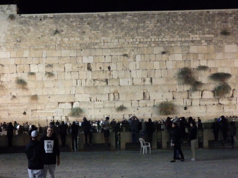 На курсах в Израиле в середине осени (Тель-Авив - Яффо, Герцлия, Иерусалим)