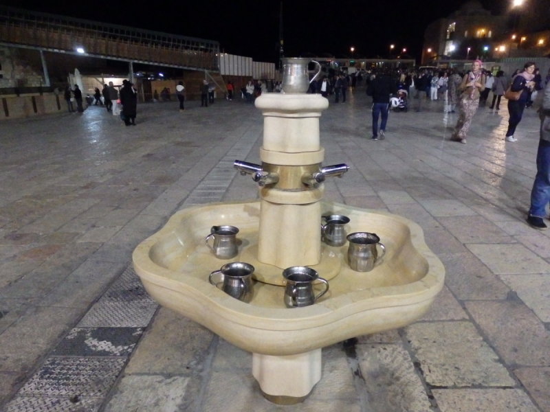 На курсах в Израиле в середине осени (Тель-Авив - Яффо, Герцлия, Иерусалим)