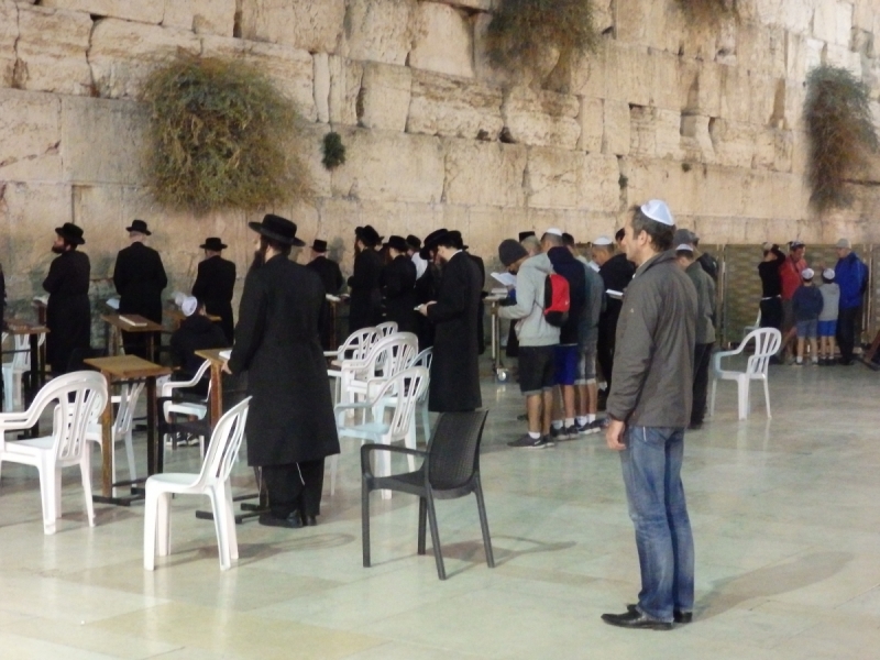 На курсах в Израиле в середине осени (Тель-Авив - Яффо, Герцлия, Иерусалим)