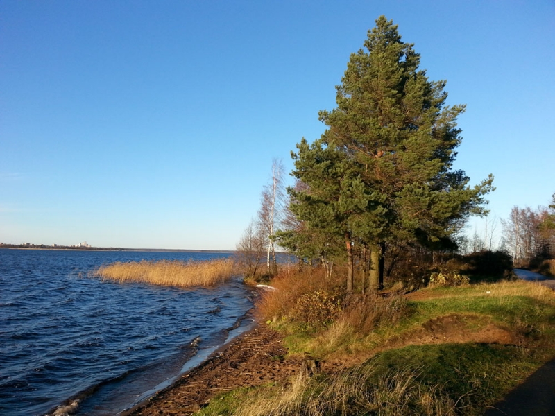Ностальгическое и юбилейное путешествие в Санкт-Петербург, ноябрь 2017 года