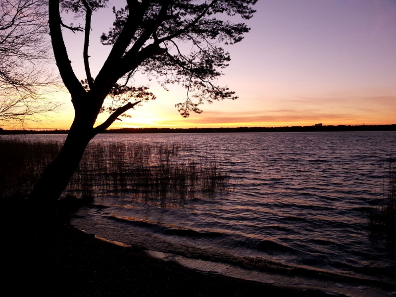 Ностальгическое и юбилейное путешествие в Санкт-Петербург, ноябрь 2017 года