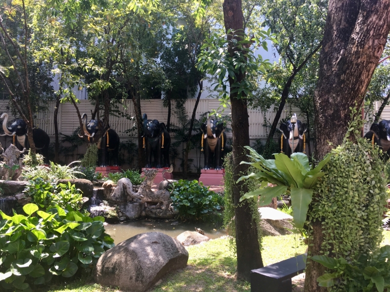 Немного Таиланда, ноябрь 2017. Бгк - Као Сок - Као Лак - Ко Као