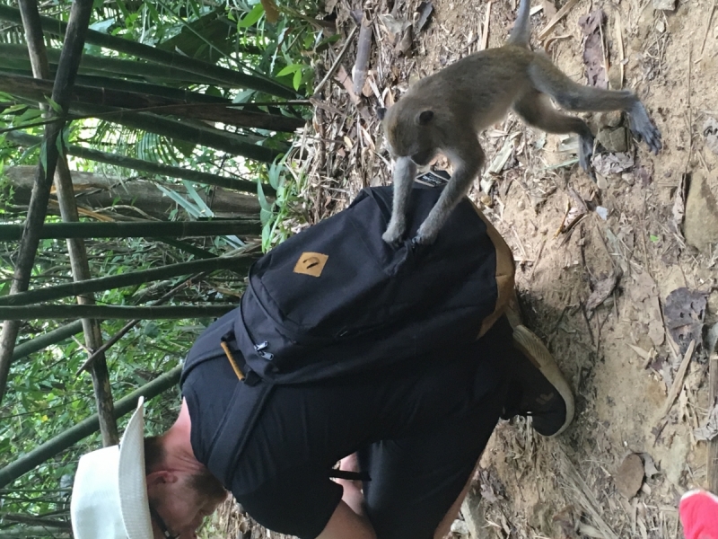 Немного Таиланда, ноябрь 2017. Бгк - Као Сок - Као Лак - Ко Као