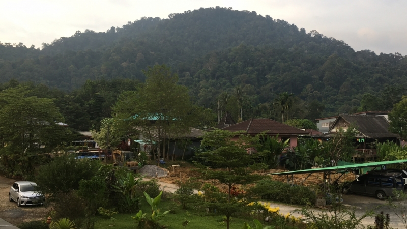 Немного Таиланда, ноябрь 2017. Бгк - Као Сок - Као Лак - Ко Као