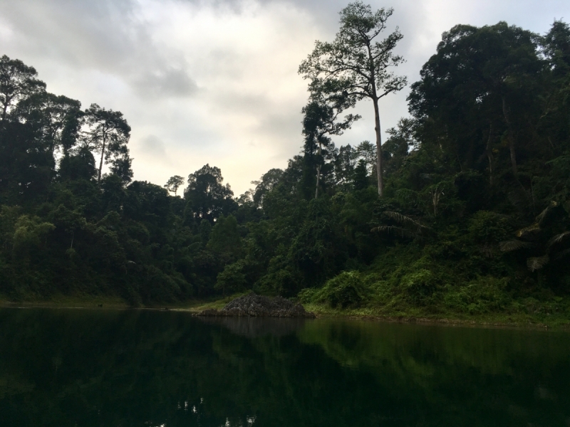 Немного Таиланда, ноябрь 2017. Бгк - Као Сок - Као Лак - Ко Као