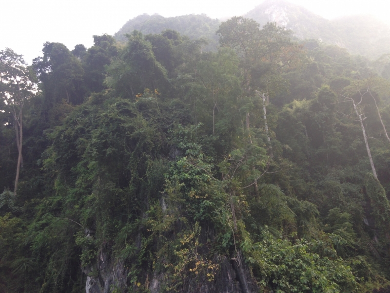 Немного Таиланда, ноябрь 2017. Бгк - Као Сок - Као Лак - Ко Као