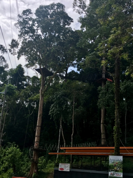 Немного Таиланда, ноябрь 2017. Бгк - Као Сок - Као Лак - Ко Као