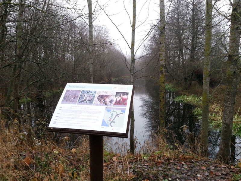 Ностальгическое и юбилейное путешествие в Санкт-Петербург, ноябрь 2017 года