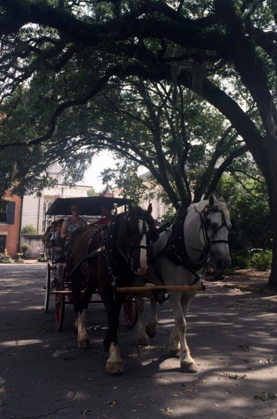 Дорога из Нью-Йорка в Нью-Йорк длиною в 4 тысячи миль