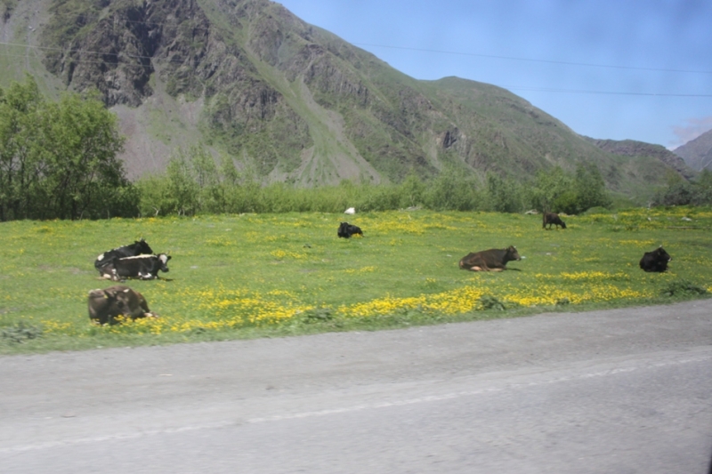 Июньская Грузия