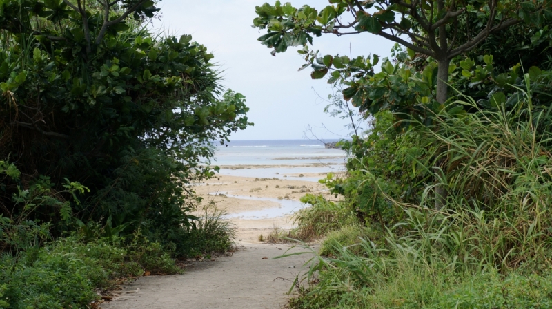 Да продлится лето!  — Okinawa (октябрь), плюс Хаконе/Токио по пути туда/обратно