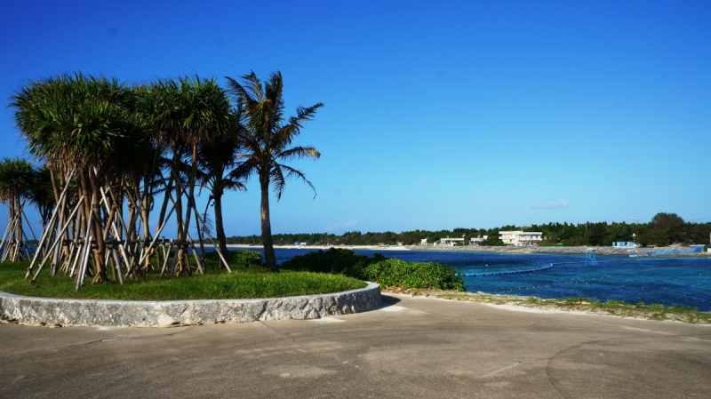 Да продлится лето!  — Okinawa (октябрь), плюс Хаконе/Токио по пути туда/обратно