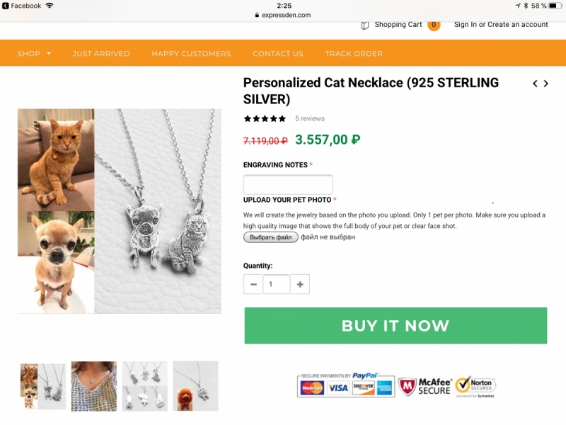 Кошки в нашей жизни. Кошки и все, что с ними связано.