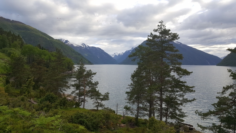 Там на неведомых дорожках...следы людей. Норвегия, регион фьордов, июнь 2017.
