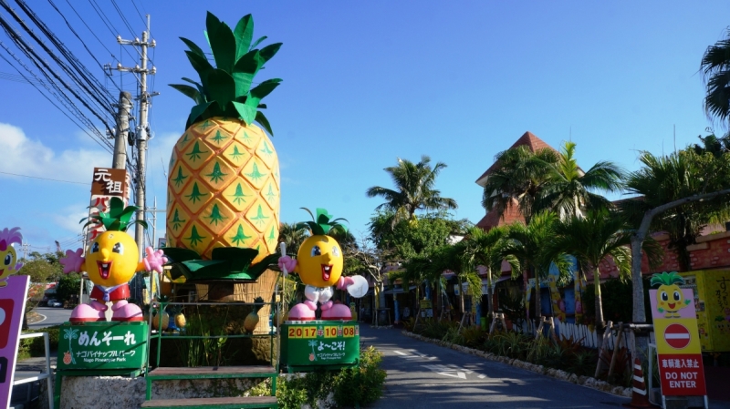 Да продлится лето!  — Okinawa (октябрь), плюс Хаконе/Токио по пути туда/обратно