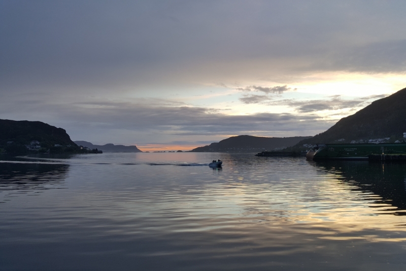 Там на неведомых дорожках...следы людей. Норвегия, регион фьордов, июнь 2017.