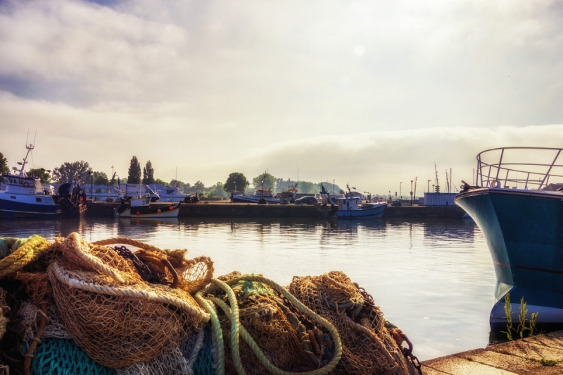 Honfleur