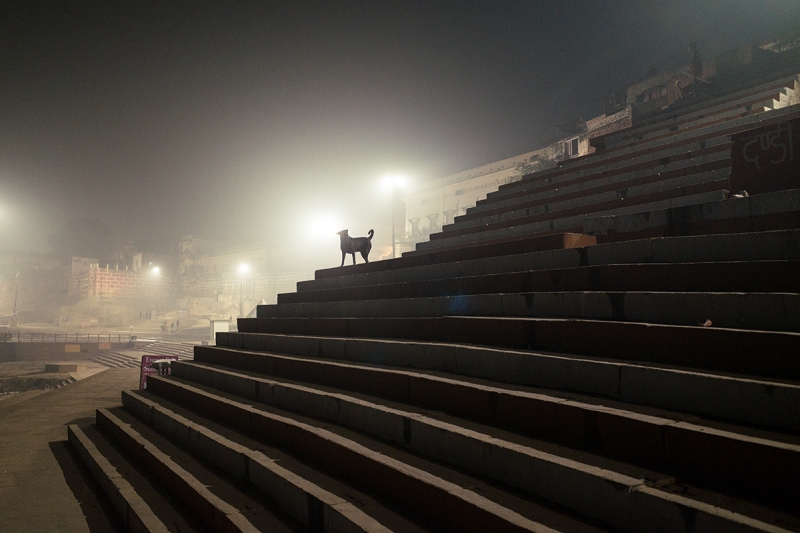 Покритикуйте маршрут по Индии