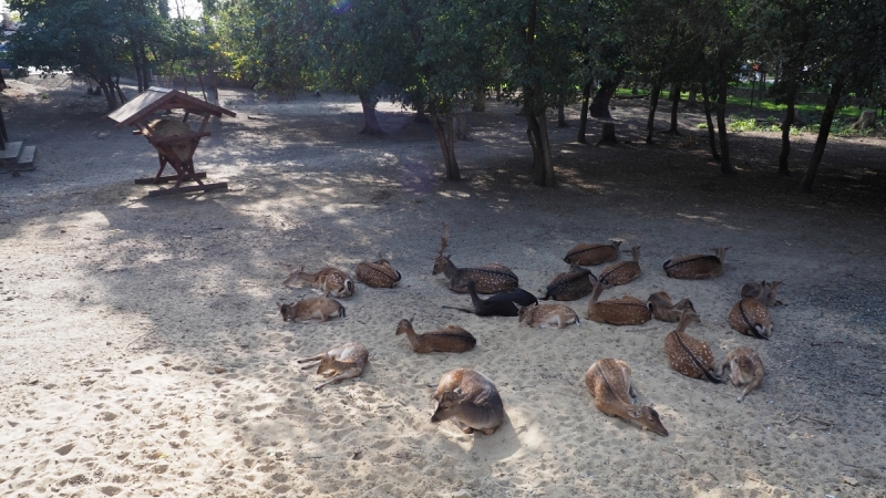 Парк Лога. Ростовская область.