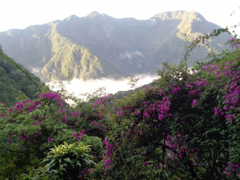 Тайвань- остров вечного лета, дождей и неторопливой езды