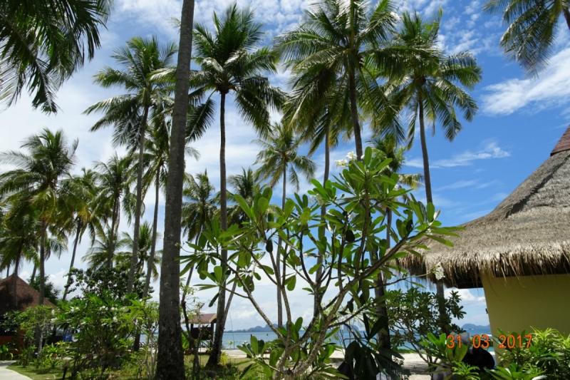 Записки из он-лайна.  БКК - Краби - Ланта - Нгай - Крадан - Мук - Липе - Транг - Районг - ПТТ