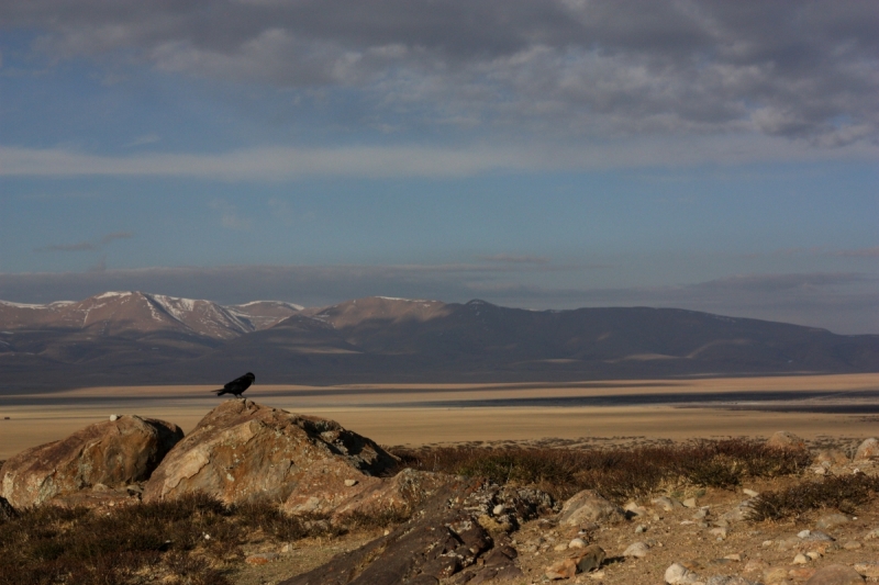 В Тибет на кору. Май 2017