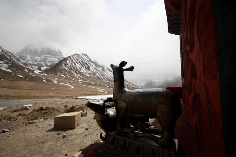 В Тибет на кору. Май 2017