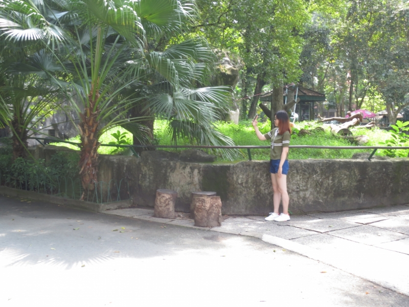 Хошимин,Фукуок,Ханой ноябрь 2017