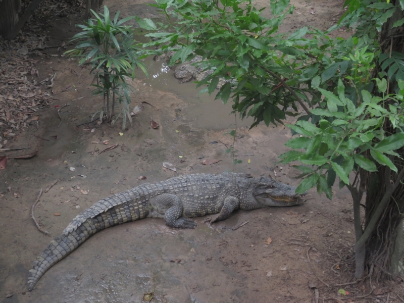 Хошимин,Фукуок,Ханой ноябрь 2017