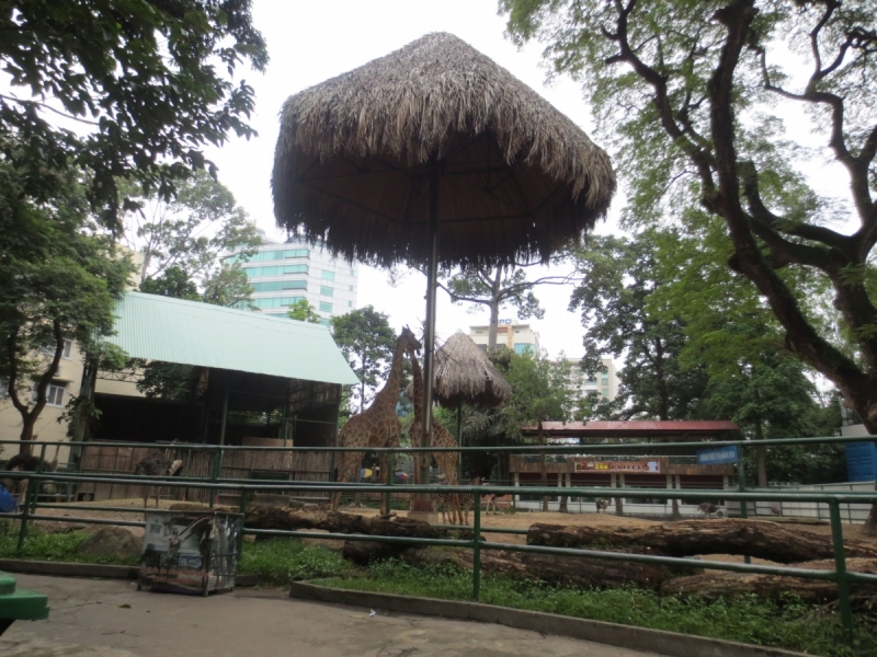 Хошимин,Фукуок,Ханой ноябрь 2017