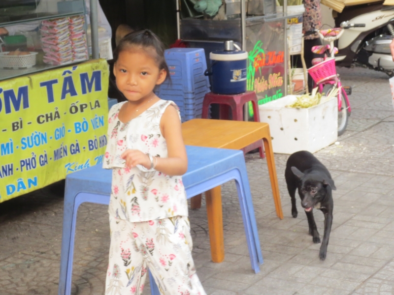 Хошимин,Фукуок,Ханой ноябрь 2017