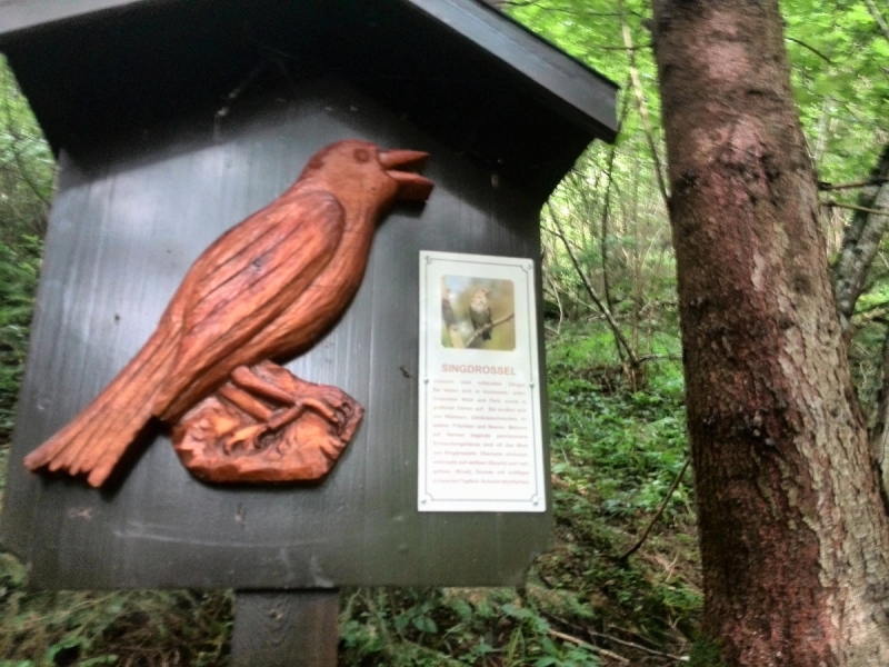 Прогулки по Европе 2017.