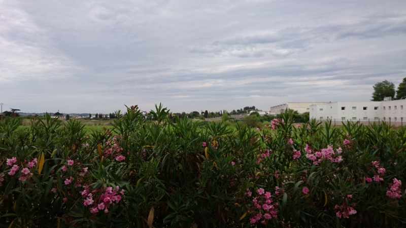 Как крымчане на край Европы ездили или от мыса Херсонес к мысу Рока