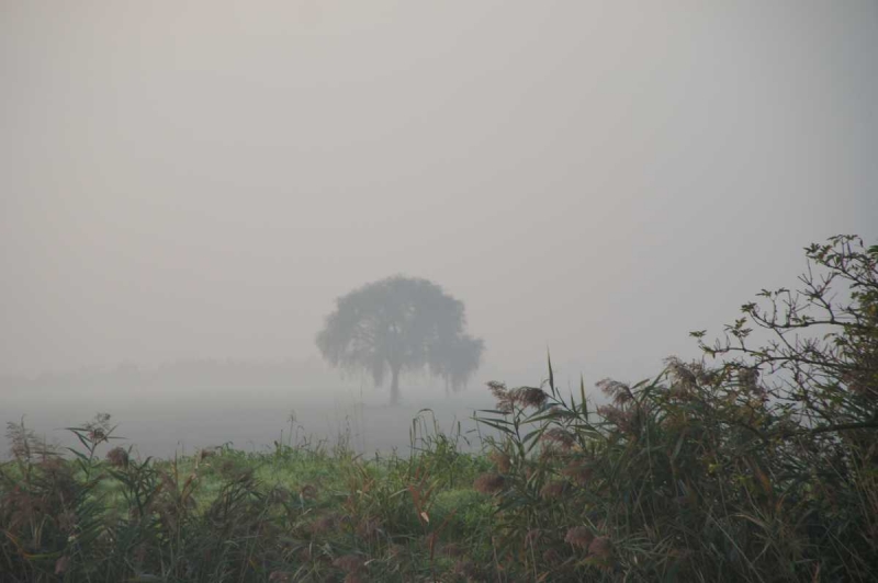 Отвези тещу на день рождения в Европу и получи стотыщ плюсов к карме