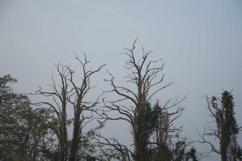 Отвези тещу на день рождения в Европу и получи стотыщ плюсов к карме