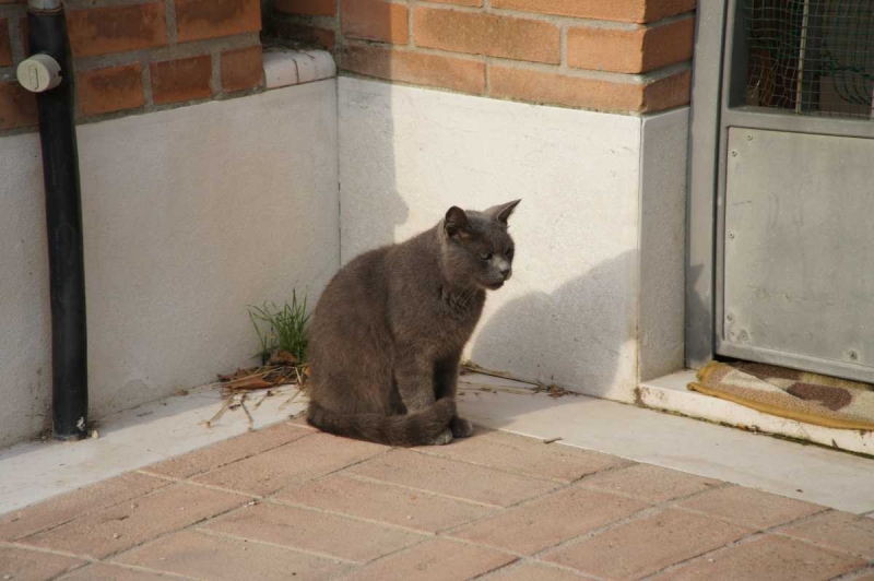 Отвези тещу на день рождения в Европу и получи стотыщ плюсов к карме
