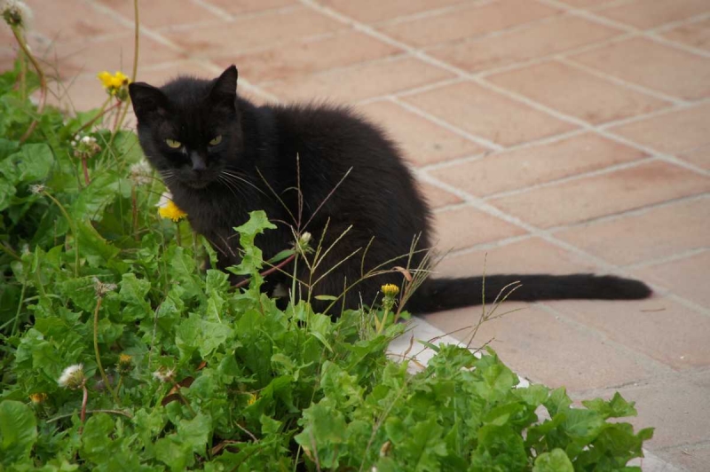 Отвези тещу на день рождения в Европу и получи стотыщ плюсов к карме