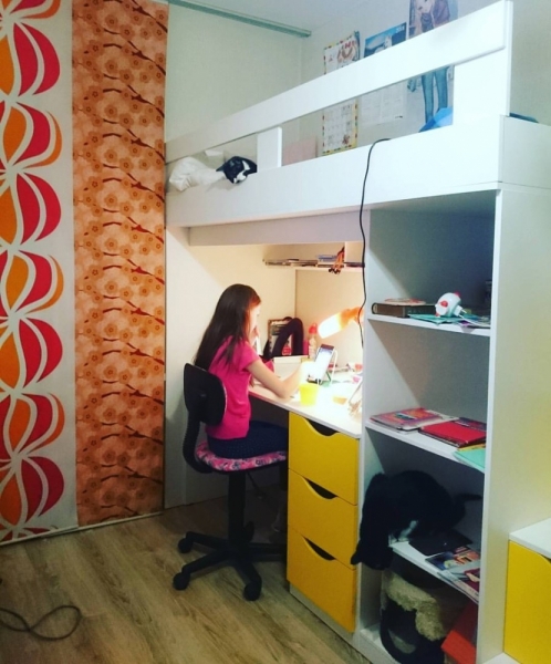 Кошки в нашей жизни. Кошки и все, что с ними связано.