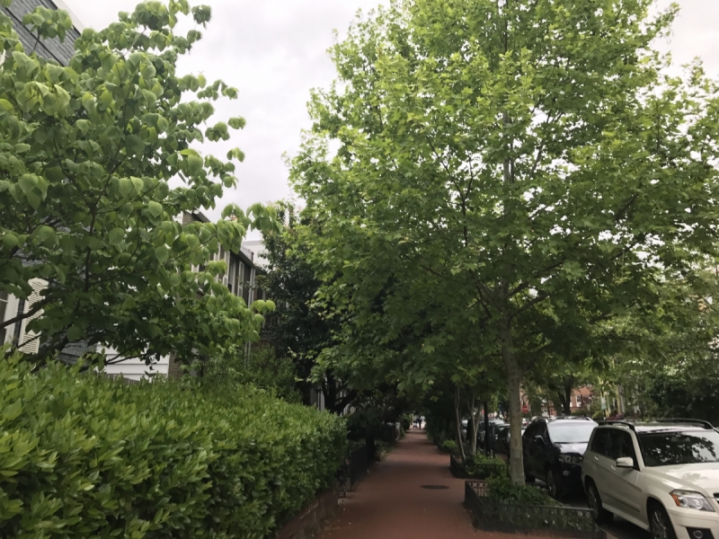 Большие города . Запад и Восток США