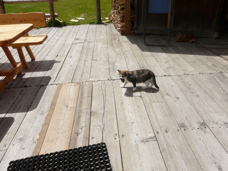 Гарда + Доломиты (7 дней)