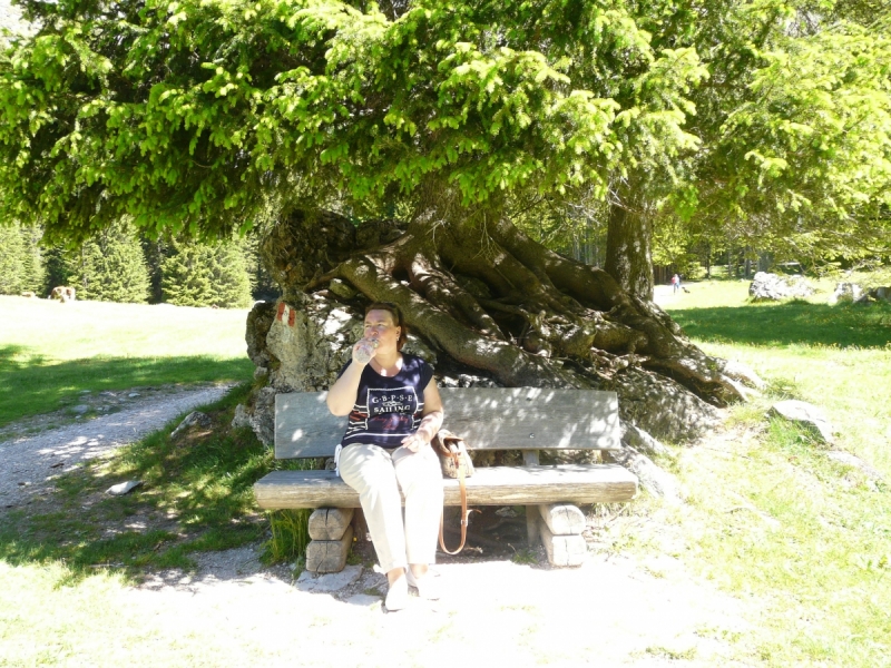 Гарда + Доломиты (7 дней)